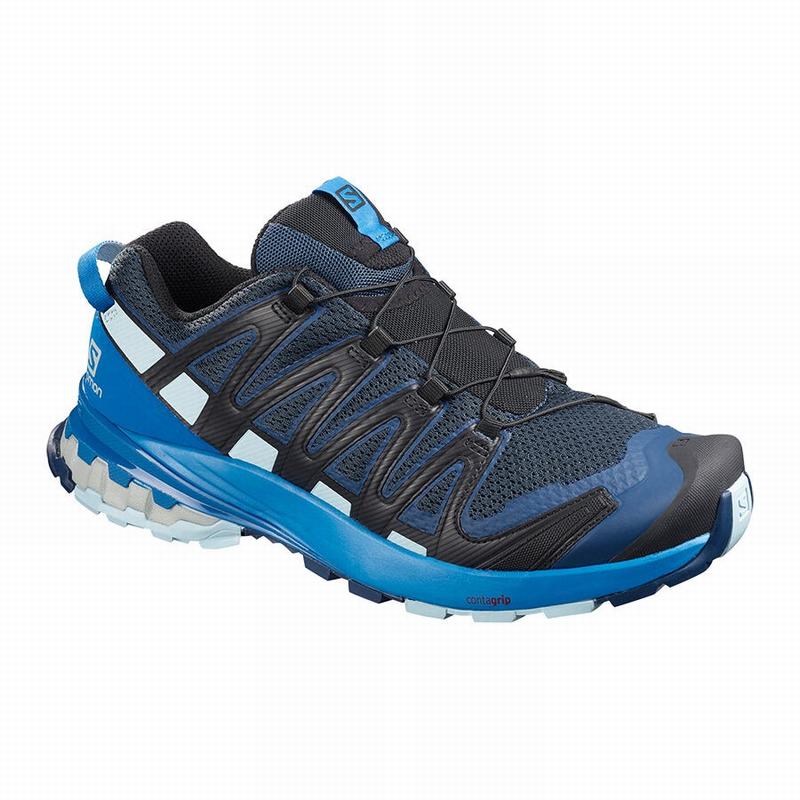 Salomon Singapore Mens Hiking Shoes - XA PRO 3D V8 Royal | 65173-UNQG